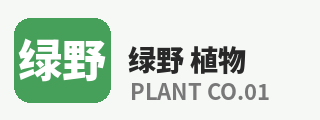 抖荫短视频