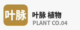 抖荫短视频